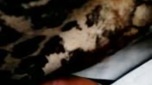 Yetişkin hiçbir kayıt 2 Paschi Süper sibel kekilli pornosu izle bedava Halley