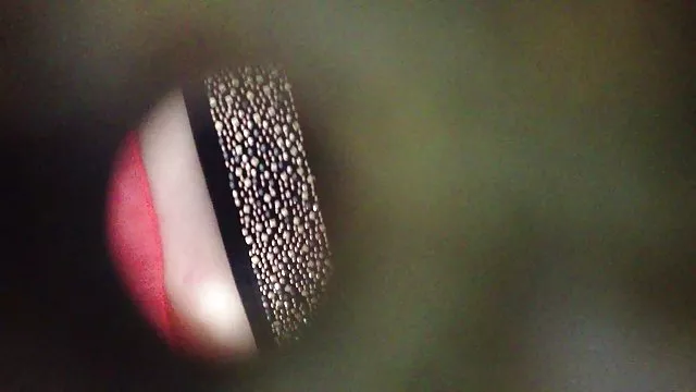 Yetişkin hiçbir kayıt Dava, Courtney, Nikki cep mobil porna Park porno klip